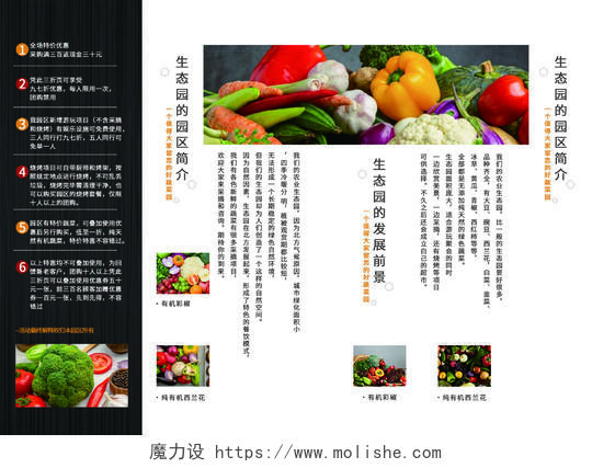 黑色时尚有机蔬菜健康宣传三折页农业三折页